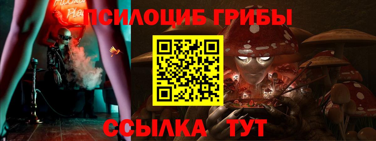 Псилоцибиновые грибы Psilocybine cubensis  Вход с VPN  Северск 